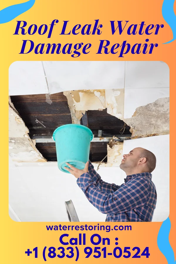 Roof Leak Water Damage Repair in Bond, MS