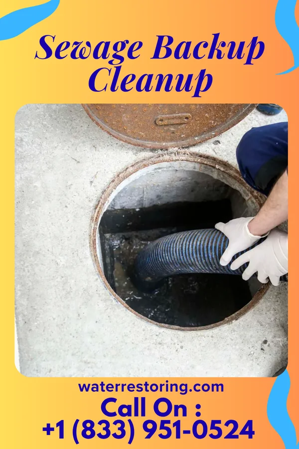 Sewage Backup Cleanup in Bond, MS