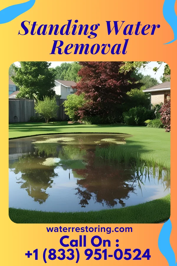 Standing Water Removal in Bond, MS
